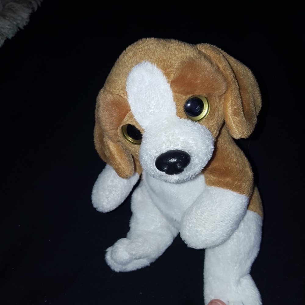 😻 A stuffed animal (Dog) 😻